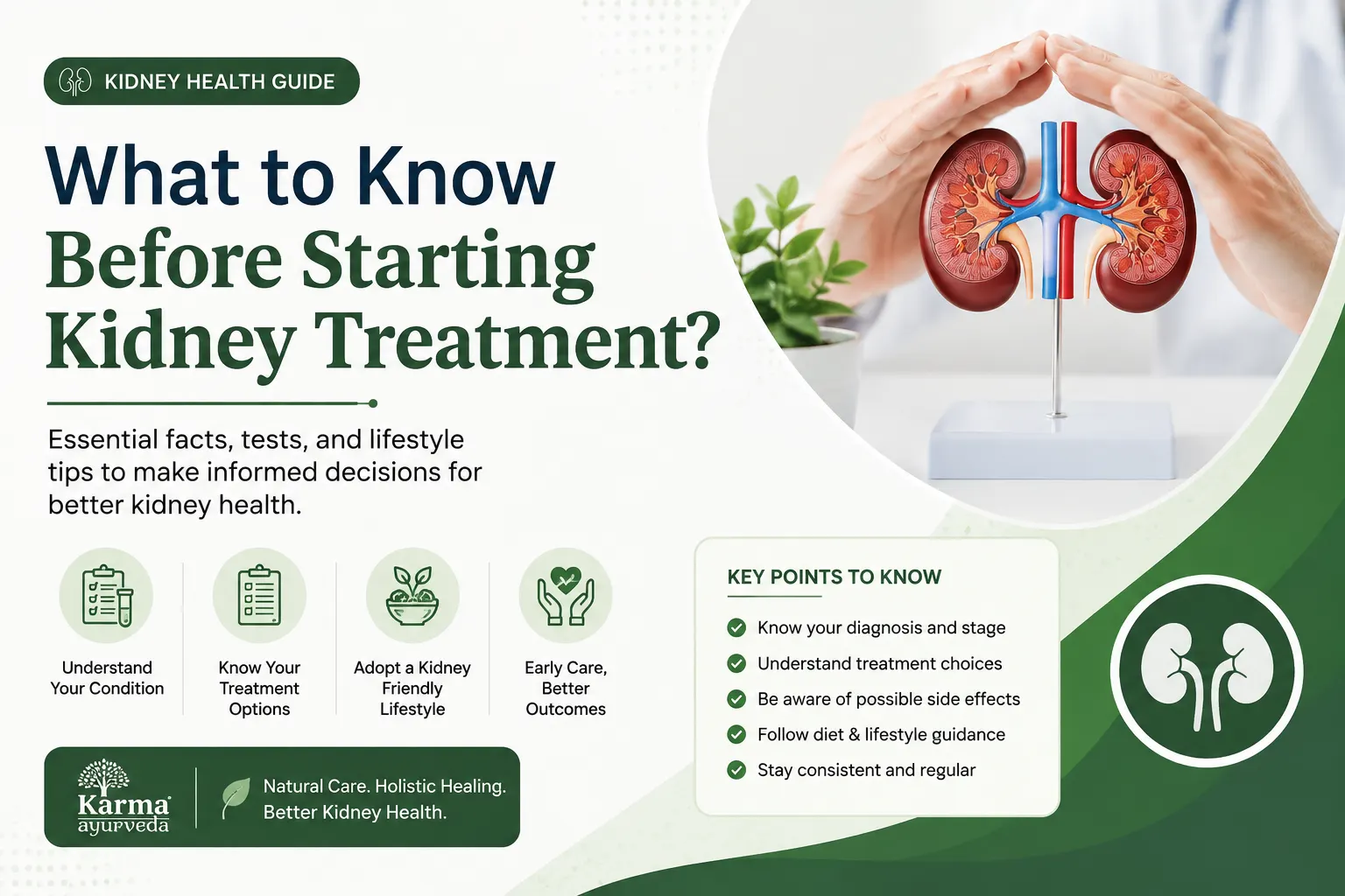 What to Know Before Starting Kidney Treatment?